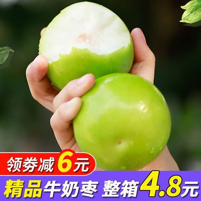 【精品】台湾牛奶大青枣新鲜水果当季甜脆枣子蜜枣牛奶枣大枣现摘