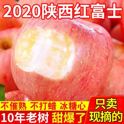 陕西冰糖心苹果当季水果新鲜红富士应季丑苹果脆甜2/10斤包邮整箱