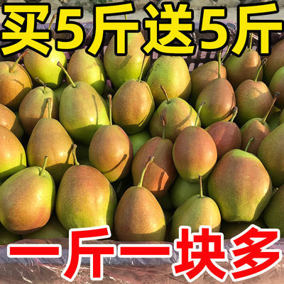【爆甜】香梨10斤薄皮梨子水果包邮新鲜甜蜜梨2/5斤正宗红香酥梨