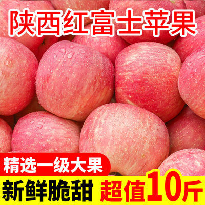 精品陕西红富士苹果正宗脆甜多汁当季新鲜水果3斤5斤10斤整箱批发
