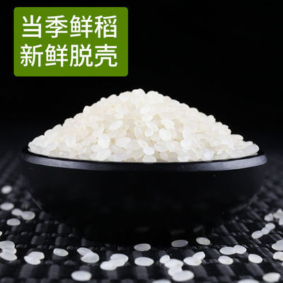 梧桐河鱼稻米东北自家大米10斤新大米东北特产当年大米