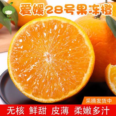 【现货】红美人柑橘爱媛28号果冻橙非爱媛38号柑橘新鲜水果当季