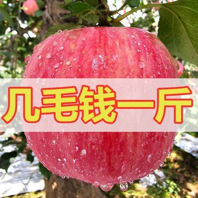 烟台红富士苹果10斤装脆甜冰糖心苹果水果新鲜应季水果丑苹果5斤3