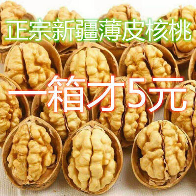 【厂家直销 限时特价】新疆薄皮核桃好核桃厂家直销新疆特产