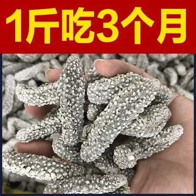 41430/印尼野生白刺参刺秃参猪婆参白赤参海参干货淡干刺参