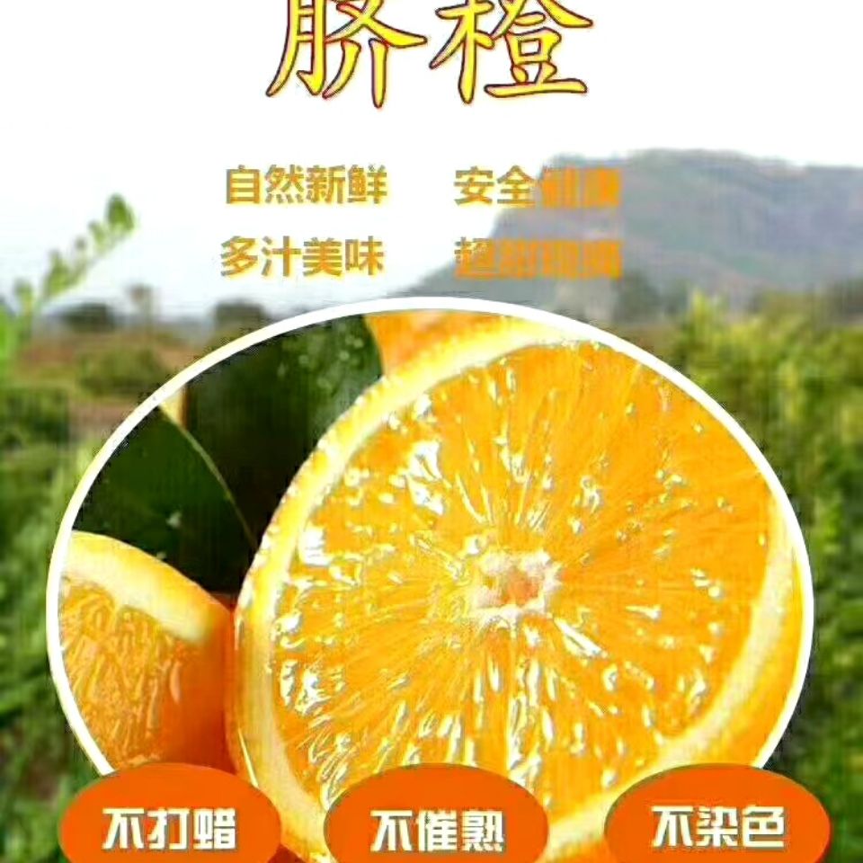正宗金堂脐橙,产地直供.9斤礼盒装,老少孕妇,的佳品!