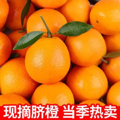 秭归酸甜高山脐橙新鲜橙子非赣南脐橙孕妇应季水果榨汁果园包邮