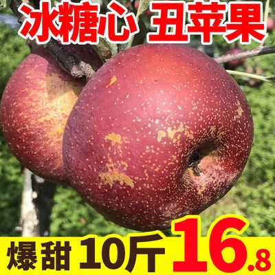 【批发价】正宗冰糖心丑苹果水果新鲜当季红富士脆甜10/5斤装整箱