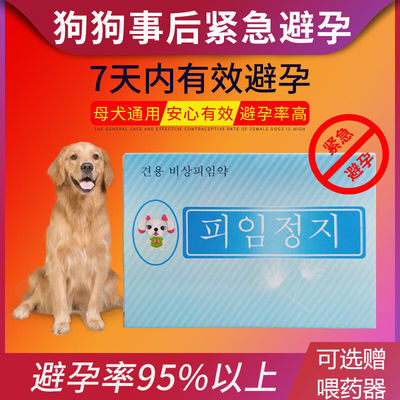 宠物狗狗预防避孕长效韩国事后交配孕停成功率百分之95%终止妊娠