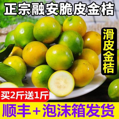 广西融安滑皮金桔纯甜5斤新鲜水果脆皮小金桔当应季橘子整箱现摘