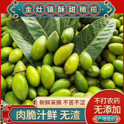 甜橄榄特甜甜种金灶橄榄果生吃酥脆无渣特甘甜青翠橄榄青橄榄