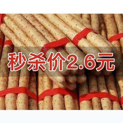 【超低价】粉糯正宗铁棍山药淮山药小白嘴山药铁杆山药新鲜蔬菜