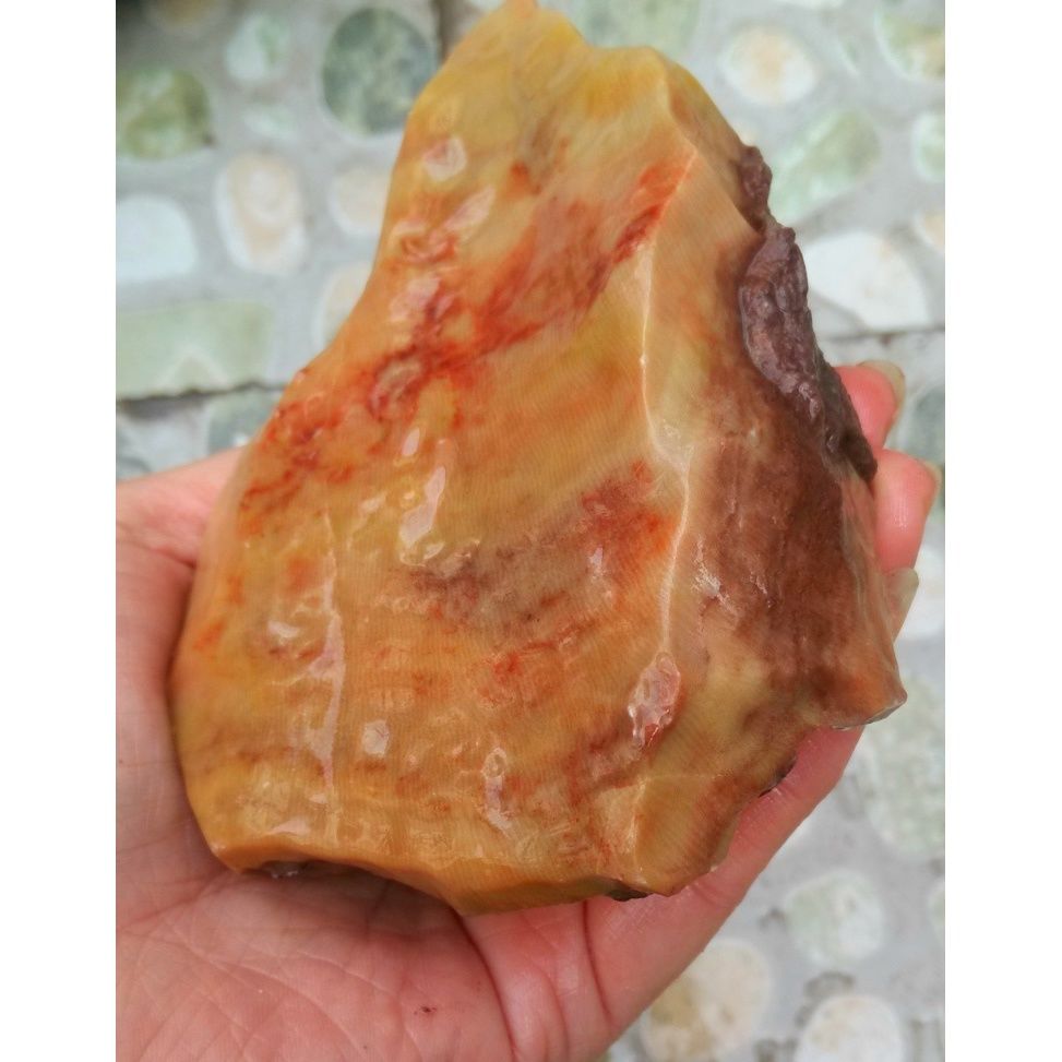 宁强珊瑚玉化石红黄色手掌纹手指奇石小件天然手玩件原石料收藏精