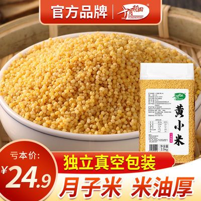 【20年新米】十月稻田 黄小米2.5kg小米5斤真空粥米油月子米杂粮