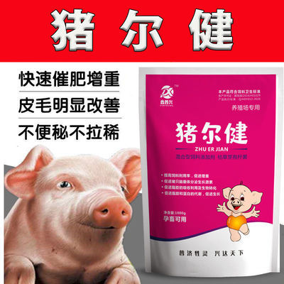 兽用猪快速催肥剂猪尔健日长三斤猪儿健强力生长素猛长精微量元素