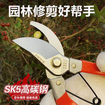 168452/园林修枝剪刀修剪树枝果树剪刀园艺修花工具果枝剪蔬果修粗枝剪刀