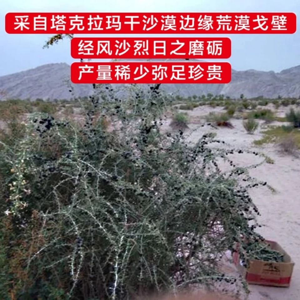 黑枸杞野生正品非宁夏黑果构杞新疆特产特级250g一斤精选茶果