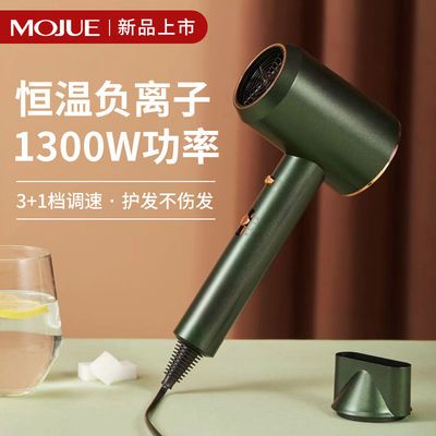 89179/德国电吹风机家用负离子护发大功率吹风筒宿舍用学生静音无声便携