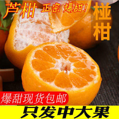 宜昌芦柑新鲜10/5/3斤应季孕妇水果现摘沃柑蜜桔清江椪柑皇帝橘子