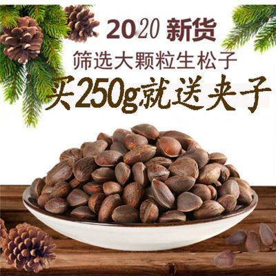 秦岭野生松子坚果干果休闲零食开口山货野生松子多种规格批发包邮