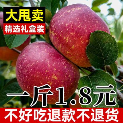 [冰糖心] 脆甜红富士苹果水果新鲜现季丑苹果批发一整箱10斤吃的
