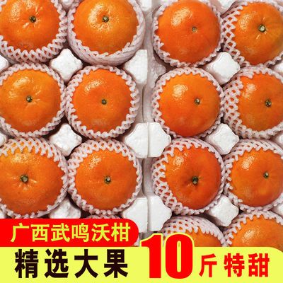 广西武鸣沃柑新鲜水果5/10斤甘橘大果桔子当季贡柑砂糖橘整箱批发