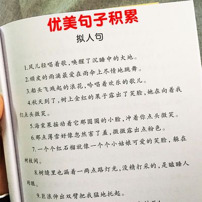 小学语文优美句子积累比喻句拟人句排比句夸张句大全句子训练总结