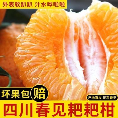 四川春见耙耙柑5斤橘子水果新鲜应季水果丑橘子桔子水果粑粑柑