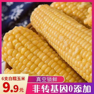 科麦科新鲜糯玉米零添加真空锁鲜非转基因乳期白糯甜嫩玉米棒