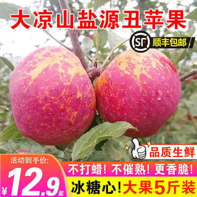 四川盐源丑苹果凉山冰糖心新鲜孕妇水果当季红富士脆甜顺丰包邮