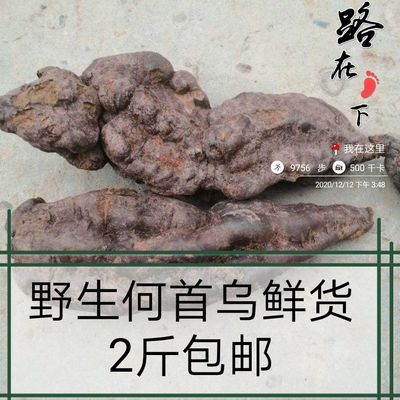 四川野生黑何首乌新鲜大小混装邮白发转变黑发乌发固发正品