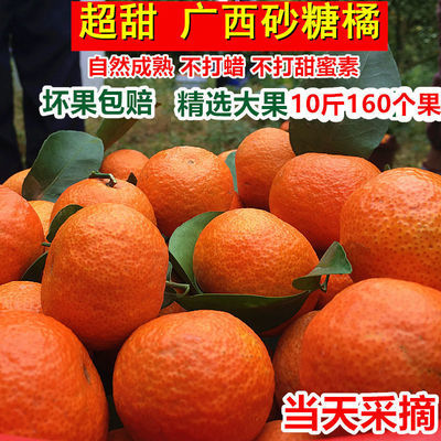 正宗砂糖橘2/10斤装好品质新鲜水果当天现摘香甜多汁蜜橘10斤装