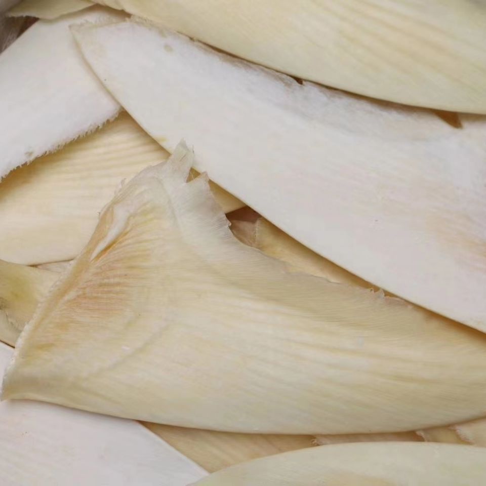 干货鱼翅乌羊骨翅鱼翅10 12寸天然热门鱼翅滋补美食足干餐饮食材 虎窝拼