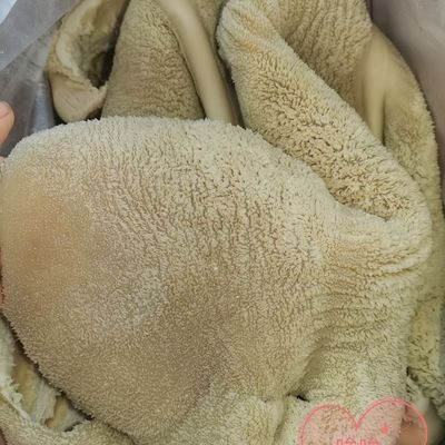 冷冻 新鲜 牛肚 牛板肚 牛大肚 干净无油 一件10斤江浙沪皖包邮