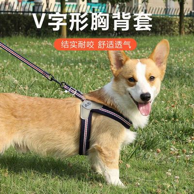 狗狗牵引绳小型犬背心式狗链子舒适透气猫咪胸背带外出遛猫遛狗绳