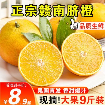 正宗赣南脐橙蜜蜂橙江西橙子新鲜水果孕妇手剥橙应季甜脐橙包邮