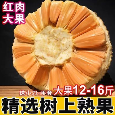 红肉菠萝蜜红肉红心新鲜应季孕妇水果越南进口菠萝蜜一整个6-20斤