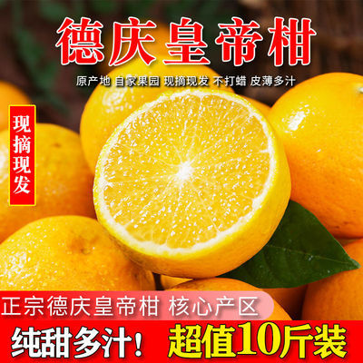 正宗德庆皇帝柑新鲜水果中大果当季黄皮贡柑沃柑香甜薄皮纯甜老树