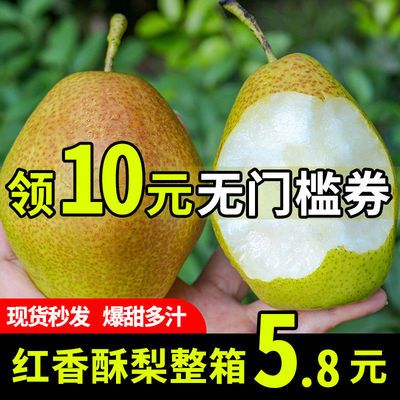 红香酥梨子10斤现摘现发新鲜水果脆甜香梨源自新疆香梨非库尔勒