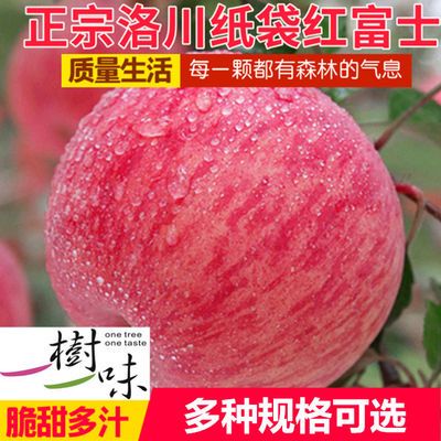 【精选】陕西正宗洛川红富士苹果脆甜多汁5/10斤整箱新鲜有礼