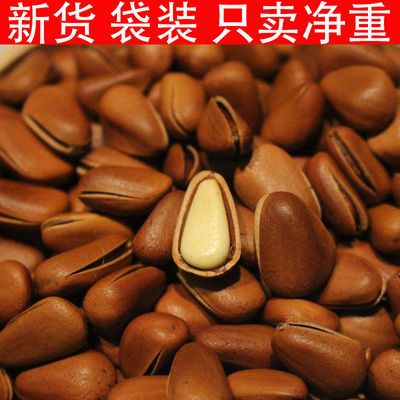 云南开口松子原味批发新货500g手剥松子多规格可选零食坚果年货