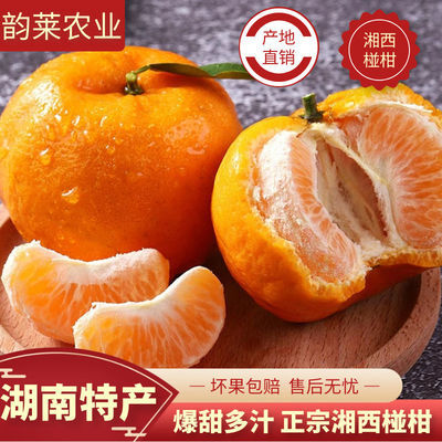 [湘西]椪柑蜜桔柑桔子新鲜孕妇水果新鲜应季水果批发整箱碰柑柑橘