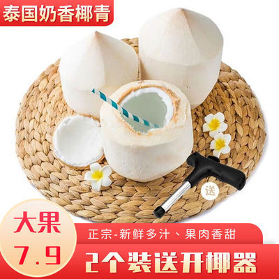 泰国椰青新鲜大果椰汁新鲜进口水果非海南椰青送开椰器