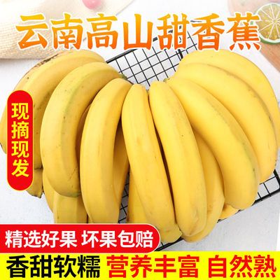 高山香甜大香蕉新鲜当季水果包邮香焦整箱应季批发5/10斤大蕉特产
