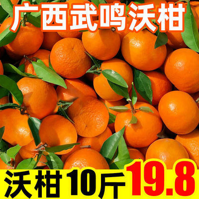 【正宗】广西武鸣沃柑橘子香甜新鲜应季水果四川发货非丑橘砂糖桔