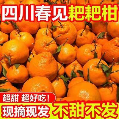 四川春见耙耙柑新鲜橘子当季丑甜桔子水果整箱包邮丑橘2/5/8斤