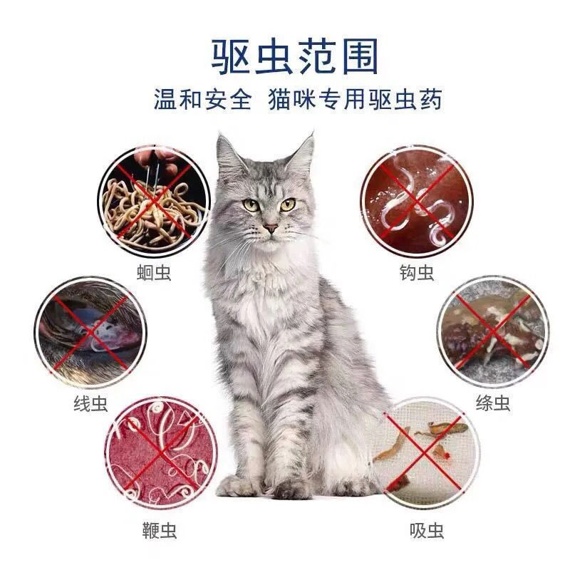 小型猫猫宠物体内驱虫心丝钩虫蛔虫内虫逃猫咪日常保健品 虎窝拼