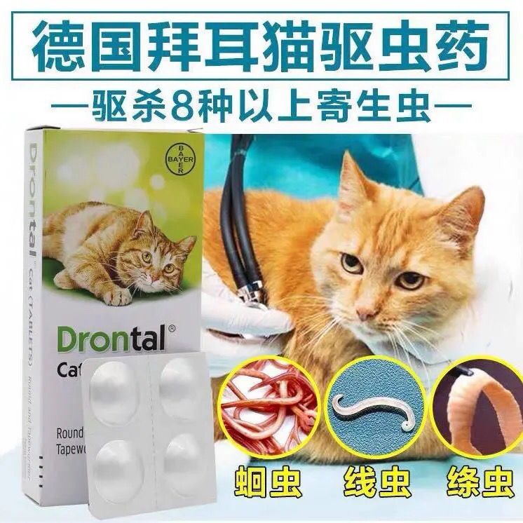 小型猫猫宠物体内驱虫心丝钩虫蛔虫内虫逃猫咪日常保健品_虎窝拼