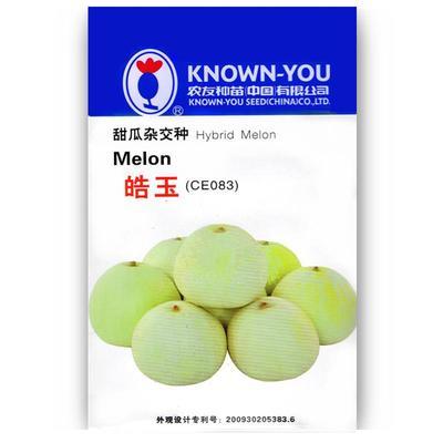 农友皓玉甜瓜种子抗病薄皮甜度好超台湾美浓换代品种正品香瓜种籽
