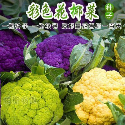 天猫优惠券领取 淘宝优惠券领取 淘宝天猫大额优惠券秒杀券发放 给力呢优惠券